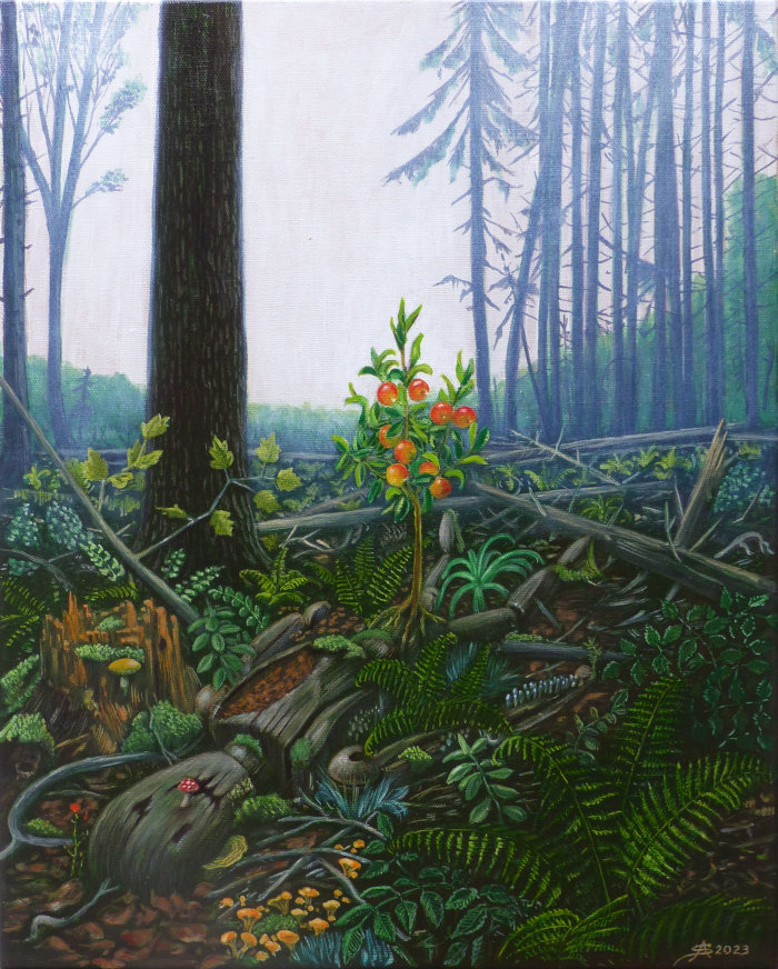Reproduction